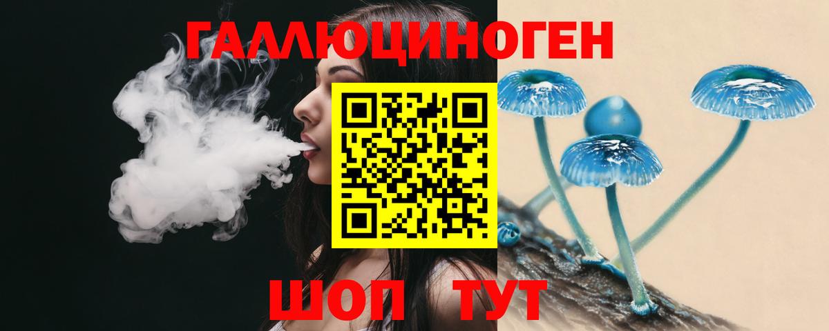 Галлюциногенные грибы Psilocybine cubensis  Вход с VPN  Псилоцибиновые грибы Cubensis  Можга 